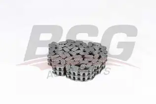 BSG 60105002 Eksantrik Zinciri