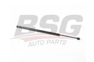 BSG 70980044 Bagaj Amortisörü
