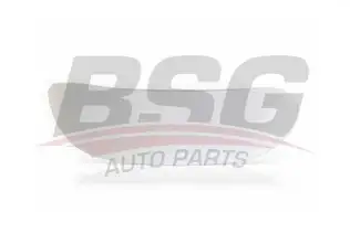 BSG 30910007 Ayna Camı Sağ