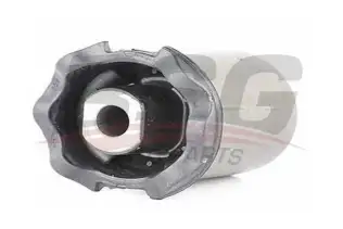 BSG 15700011 Salıncak Burcu