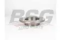 BSG 30210041 Fren Diski Ön