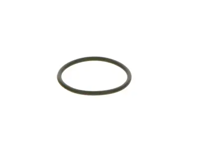 BOSCH F00R0P0166 O-Ring - 6. Görsel