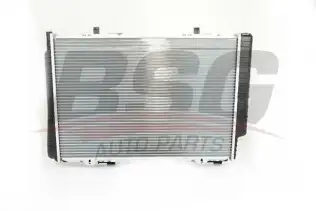 BSG 60520033 Su Radyatörü