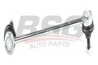 BSG 60310004 Viraj Askı Rotu Ön