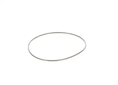 BOSCH 2440210044 O-Ring - 7. Görsel