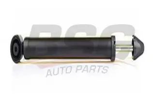 BSG 90300004 Amortisör Arka