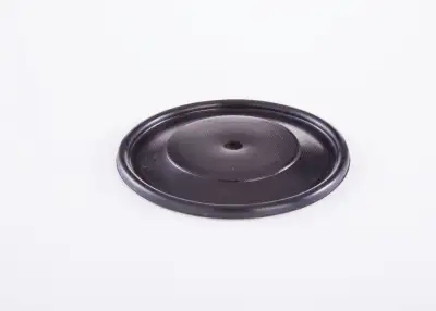 BOSCH 2420503002 Diyafram - 19. Görsel