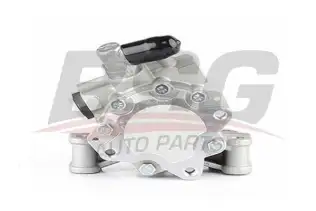 BSG 60355010 Direksiyon Pompası