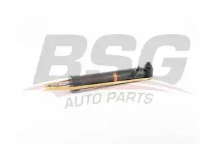 BSG 15300041 Amortisör Arka Sol