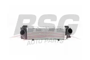 BSG 15535016 Turbo Radyatörü