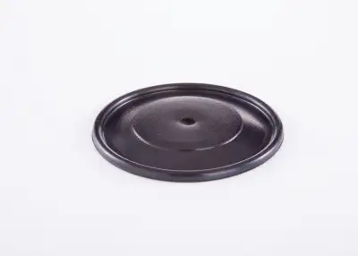 BOSCH 2420503002 Diyafram - 22. Görsel