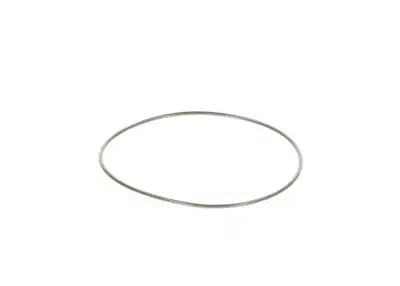 BOSCH 2440210044 O-Ring - 12. Görsel