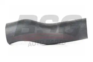 BSG 40720008 Turbo Hortumu
