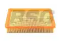 BSG 40135015 Hava Filtresi