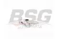 BSG 90101002 Yağ Pompası
