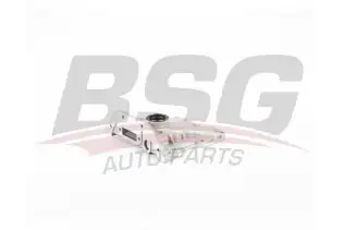 BSG 90101002 Yağ Pompası