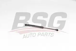 BSG 75980003 Bagaj Amortisörü