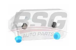 BSG 90506007 Şanzıman Yağ Soğutucu