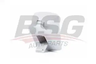 BSG 30922084 Güneşlik Ayağı