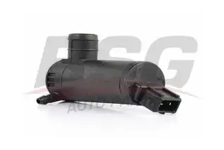 BSG 30850001 Su Fıskiye Motoru