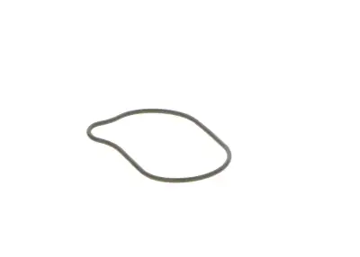 BOSCH 2440210028 O-Ring - 21. Görsel