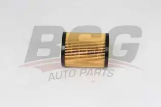 BSG 60140011 Yağ Filtresi