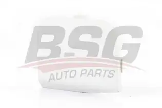 BSG 30922092 Çeki Demir Kapağı Ön