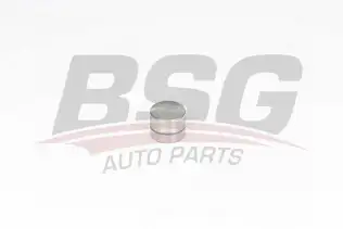 BSG 90122022 Supap Kadehı Egzoz