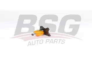 BSG 90310195 Rotil Alt Sol