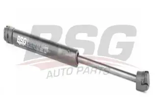 BSG 40980012 Cam Amortisörü Arka