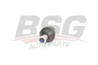 BSG 60310033 Rotil Alt