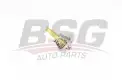 BSG 60125004 Termostat