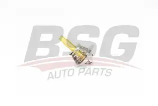 BSG 60125004 Termostat