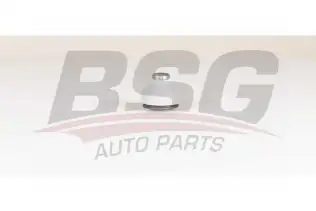 BSG 75310041 Rotil Alt