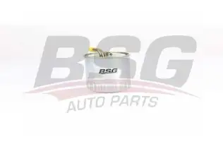 BSG 60130013 Yakıt Filtresi