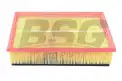 BSG 30135005 Hava Filtresi