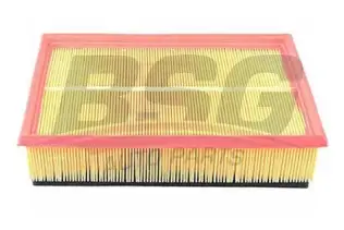 BSG 30135005 Hava Filtresi