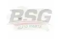 BSG 16550001 Radyatör Yedek Su Deposu