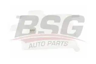 BSG 16550001 Radyatör Yedek Su Deposu