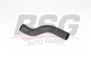 BSG 65700344 Turbo Hortumu