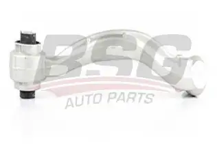 BSG 60310142 Rotilli Kol Alt Sol