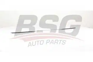 BSG 90924047 Kapı Bandı Arka Sağ