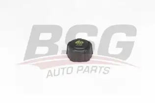 BSG 75551001 Radyatör Yedek Su Depo Kapağı