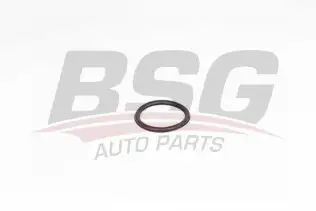 BSG 75116008 Termostat Contası