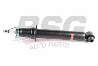 BSG 15300038 Amortisör Arka