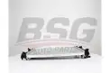 BSG 65520039 Su Radyatörü