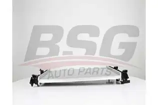 BSG 65520039 Su Radyatörü