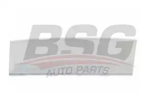 BSG 65924003 Kapı Bandı Arka Sol