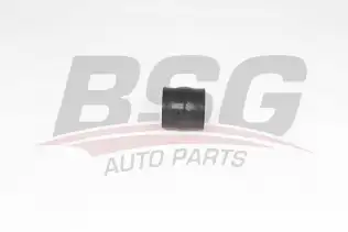 BSG 70720208 Turbo Hortumu