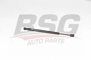 BSG 15980068 Motor Kaput Amortisörü